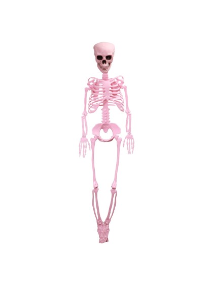 PINK ARTICULATED SKELETON 1M