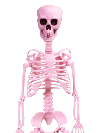 PINK ARTICULATED SKELETON 1M