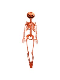 ORANGE PUMPKIN HEAD ARTICULATED SKELETON 1M