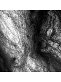 TOILE D\'ARAIGNEE NOIRE 60GR