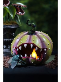 KÜRBIS FLEISCHFRESSEND KUNSTHARZ MIT LED 28CM X 28.5CM X 28.5CM