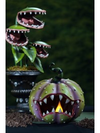 KÜRBIS FLEISCHFRESSEND KUNSTHARZ MIT LED 28CM X 28.5CM X 28.5CM