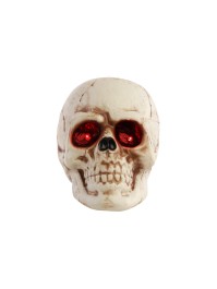PLASTIC SKULL WITH LED LIGHT 11CM X 16CM X 13CM