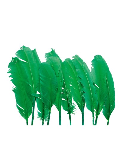 10 PLUMES DE DINDE VERTES ENV 30CM