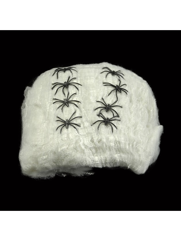 GROSSES SPINNENNETZ WEISS + 12 SPINNESCHWARZ 125GR