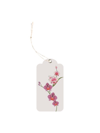 KARTE 12 ETIKETTEN ORCHIDEES MIT OEILLET UND LIEN 5.8CM X 3CM