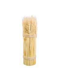 BOTTE EPI AUS WEIZEN NATUR 8CM X 28CM