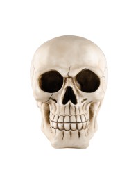 RESIN SKULL 21CMX15CMX18CM 