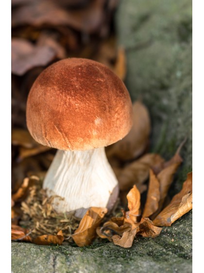 BROWN WHITE MUSHROOM ON BASE WITH MOSS 10CM X 8CM X 13CM