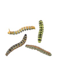 SET 4 INSECTES TAILLES ET MODELES ASS 