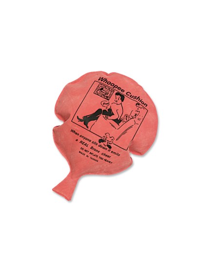 COUSSIN GONFLABLE 