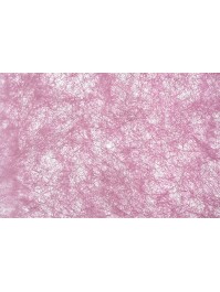 10 PLUM GLOSS ROUND PLACEMATS 34CM