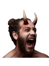 APPLIANCE - LARGE HORNS 