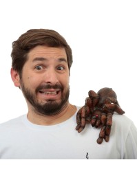 SHOULDER BUDDY TARANTULA 