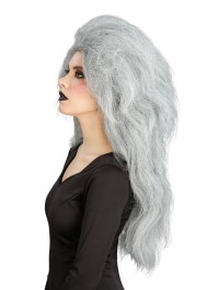 GREY HAIR WITCH WIG 65CM