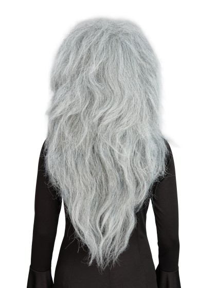 PERRUQUE DE SORCIERE CHEVEUX GRIS 65CM