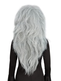 PERRUQUE DE SORCIERE CHEVEUX GRIS 65CM
