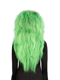 PERRUQUE DE SORCIERE CHEVEUX VERTS 65CM