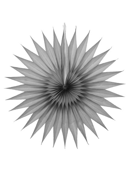 SET 2 FANS GREY 32CM