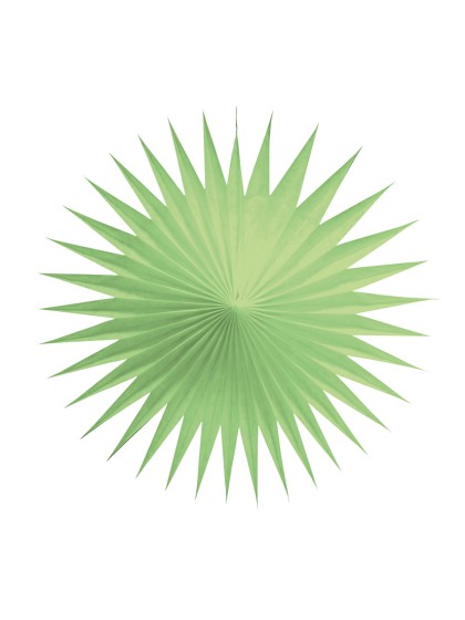 SET 3 FANS PASTEL GREEN 17CM