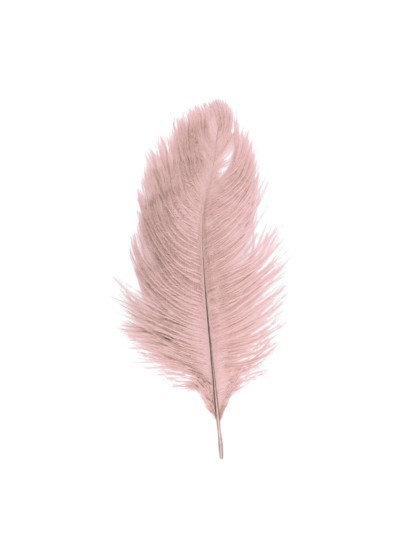 BAG OF 5 OLD PINK OSTRICH FEATHERS 20-25CM